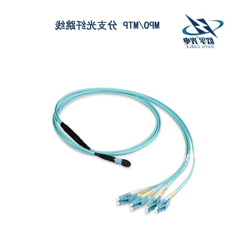 邵阳市MPO/MTP 分支光纤跳线