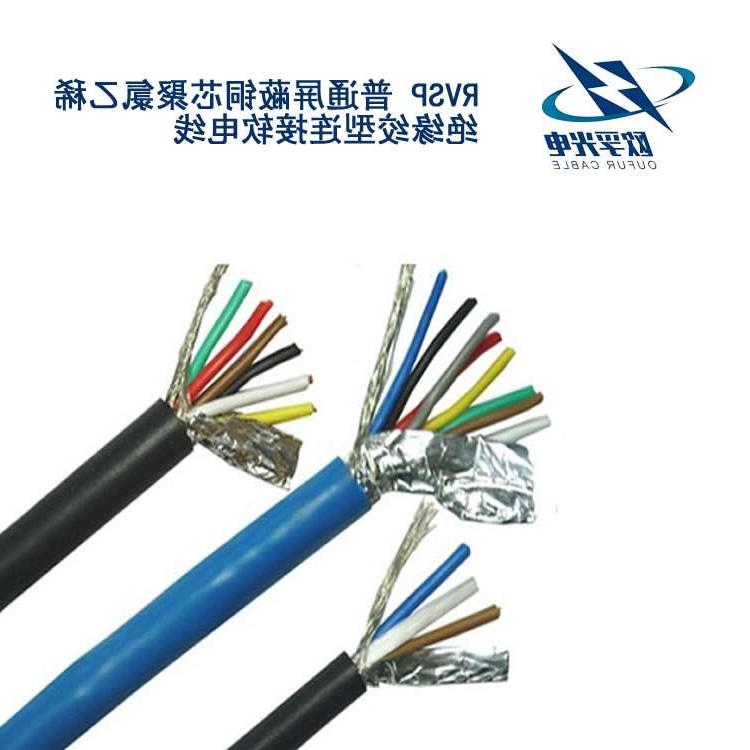 东丽区RVSP电缆